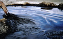 Le Sénégal doit construire un véritable écosystème des hydrocarbures Le Sénégal doit construire un véritable écosystème des hydrocarbures